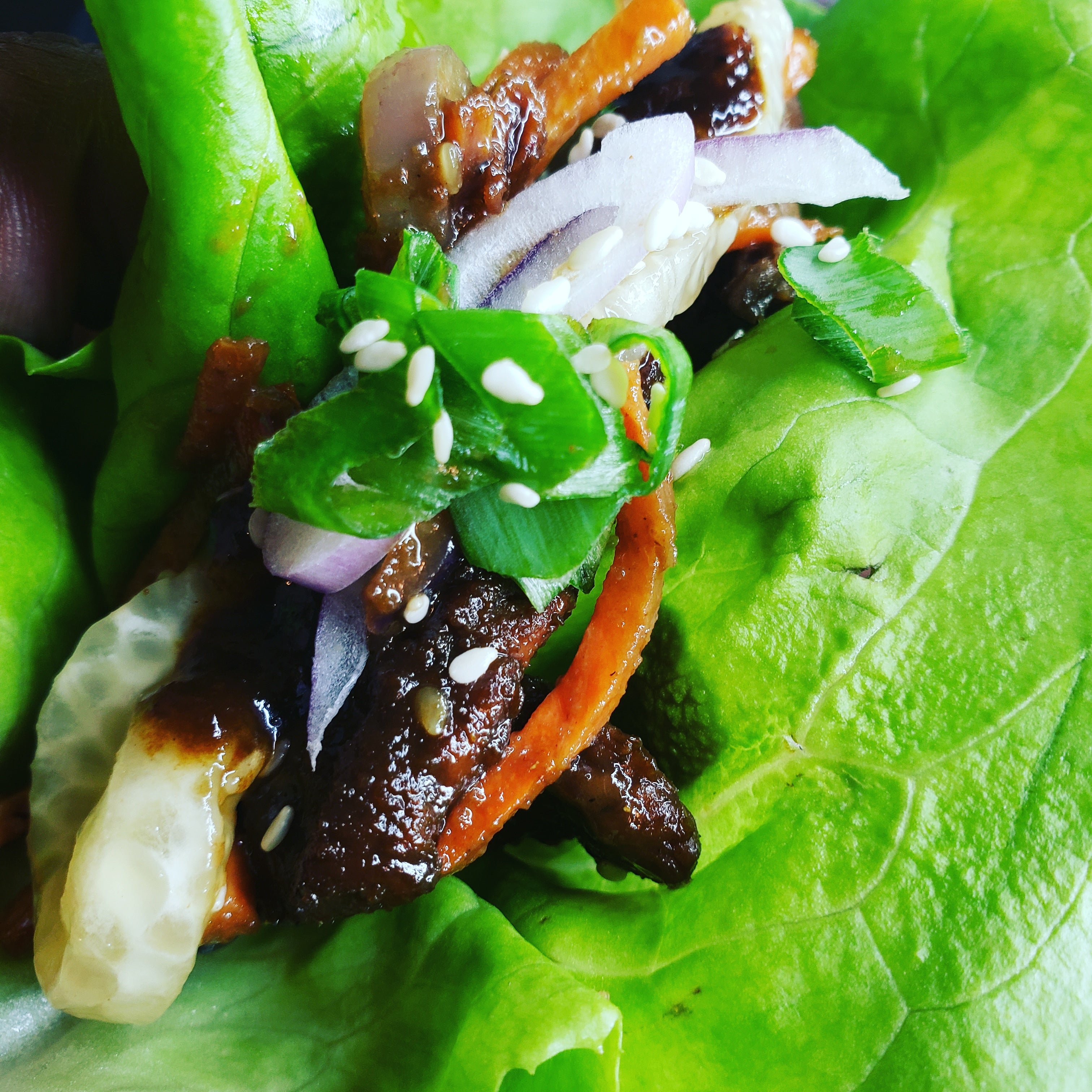 Marinated Steak Lettuce wraps and Pickled Cucumbers