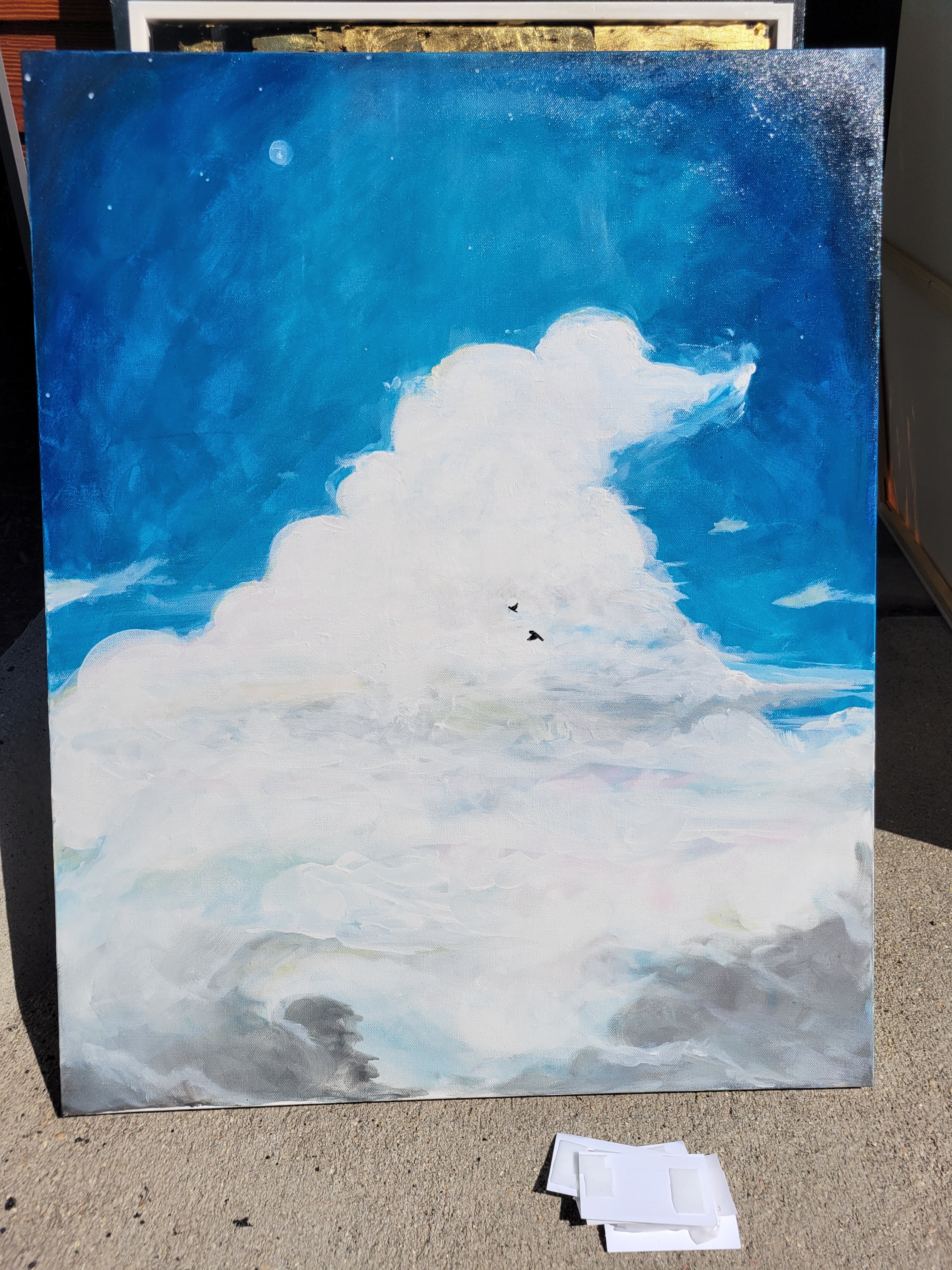 Clouds and Birds